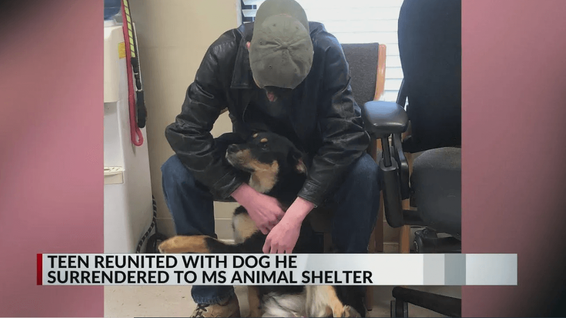 Homeless teen reunites with his loving dog at a shelter after finding a ...