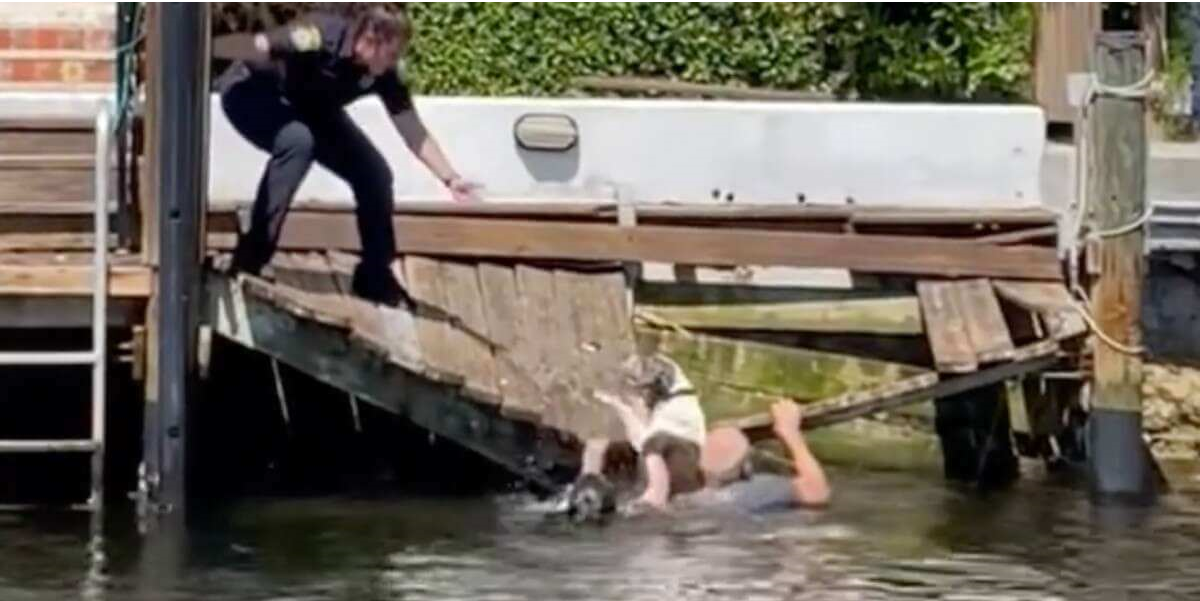 Police officers get into a canal to save a drowning dog